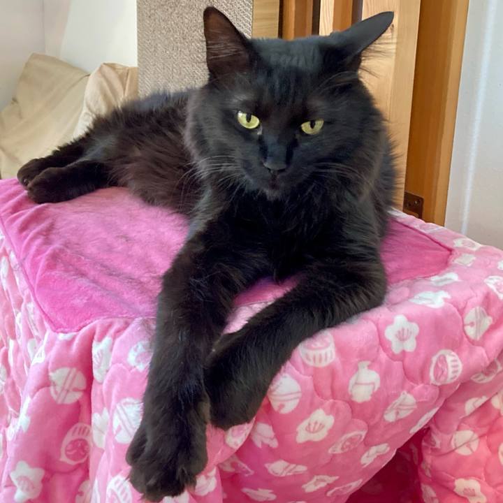 F88239ad 614b 43a3 a4e3 26ccdce9cf45 1743584943350