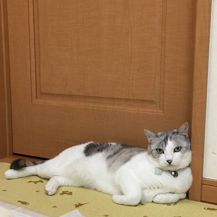 F8825306 1100 4727 82ac 0963d1ca5ddd 1527591132642