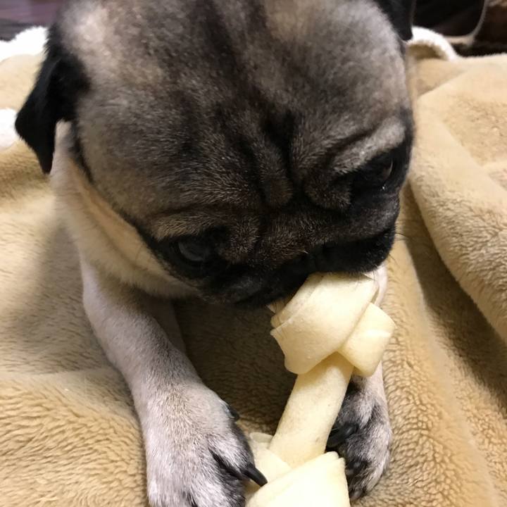 F8825c33 1e87 40e3 8e6c 8de536133fd5 1513248635873