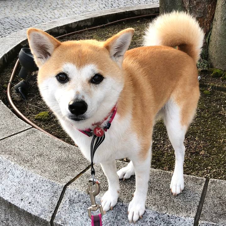 F882848b f75b 4edd a53e f392194967e8 1530570188441