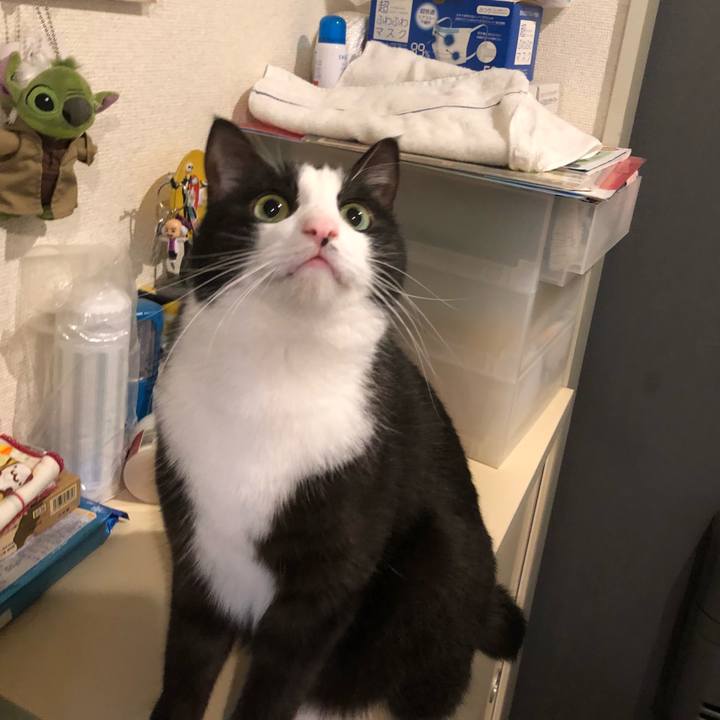 F88290d3 a810 4b9c a122 08012e07e700 1515991133257