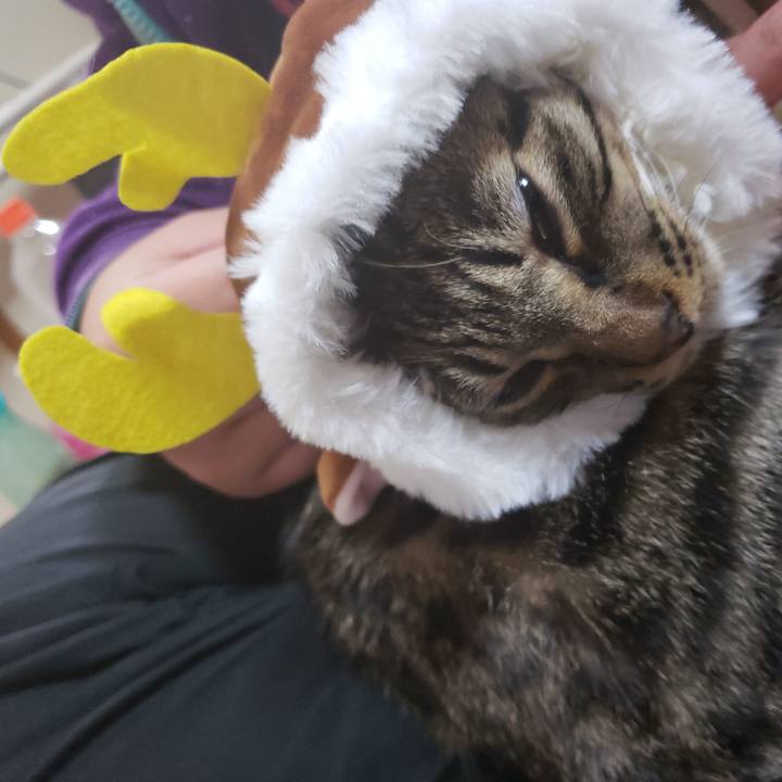 F882970e 9f3b 486d b8fc d3c0e2e04299 1545531376654