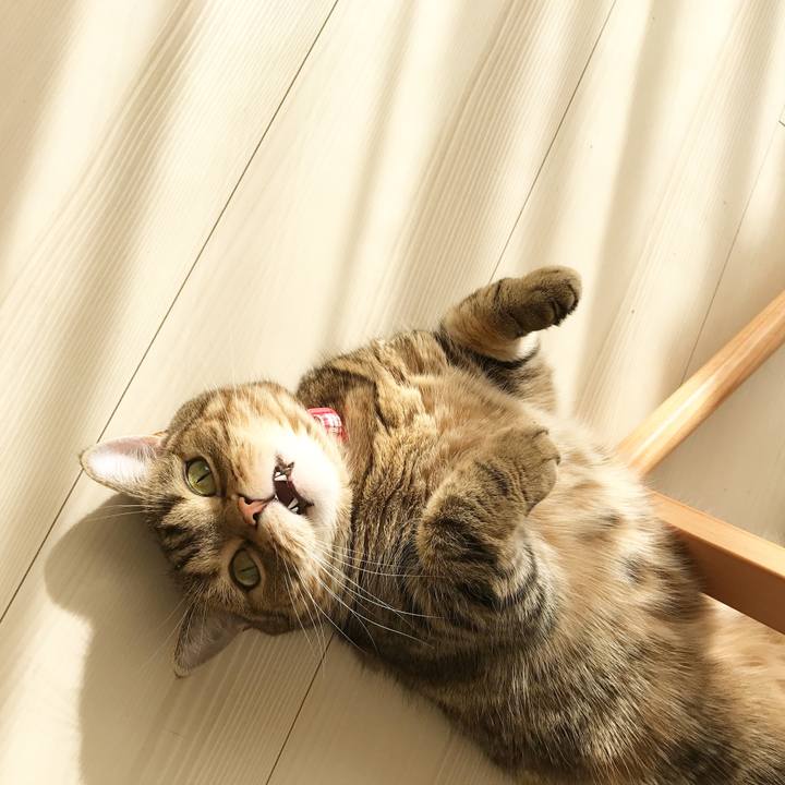 F882bfd8 5d47 4872 9387 647bf7d04fb9 1512445405051