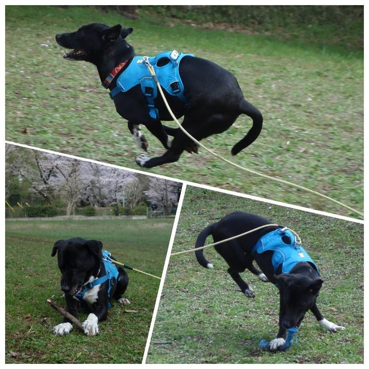 F882e72c 41be 44dd a282 b6f6dcaeca24 1616807705226