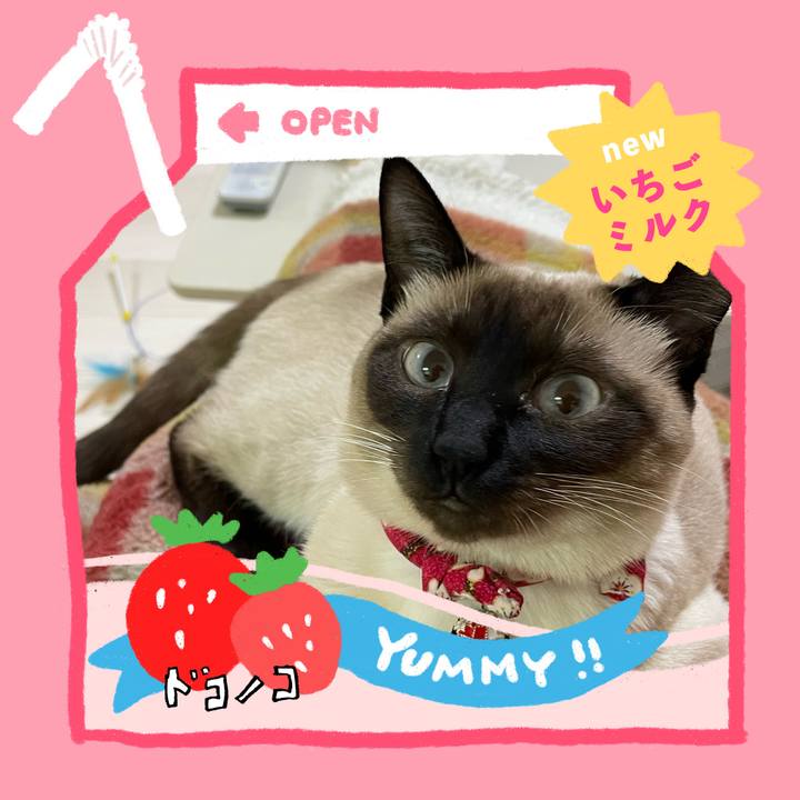 F882f6e6 afb5 448a 8dec c6d342730556 1711052874106