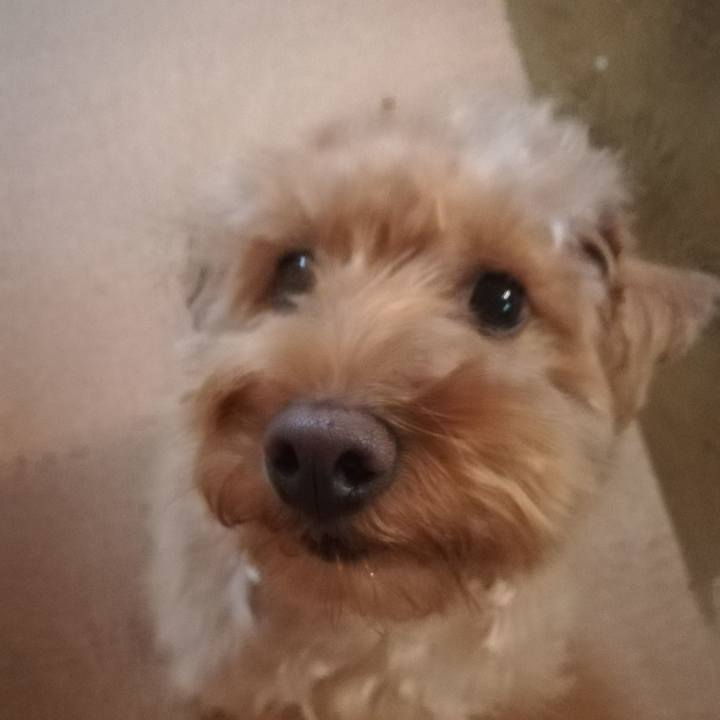 F8831d5d b0d5 4b62 b800 526fdd677683 1550191686910