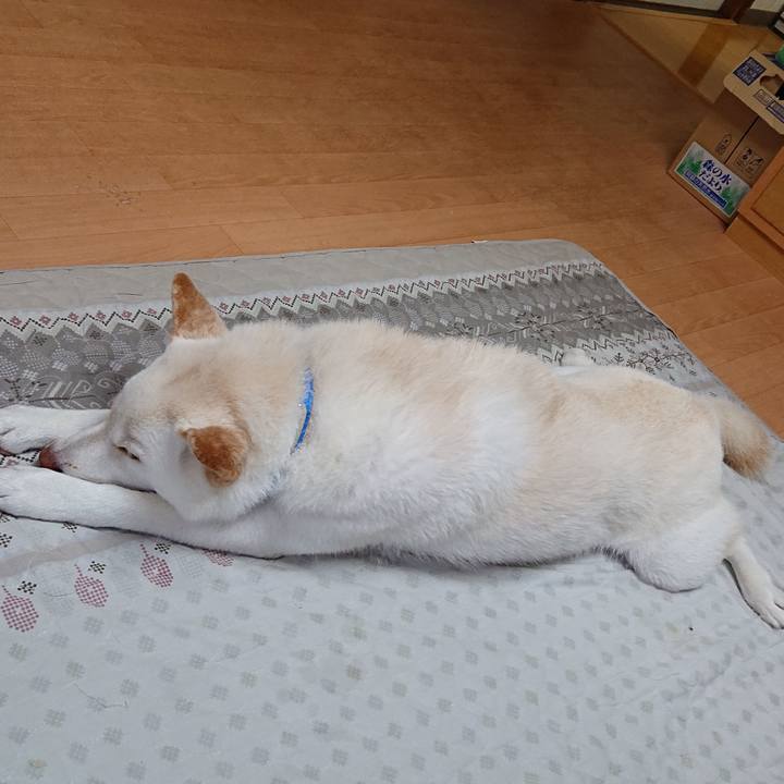 F8834cd4 6595 4a36 9285 1c9a390a256f 1563700789504