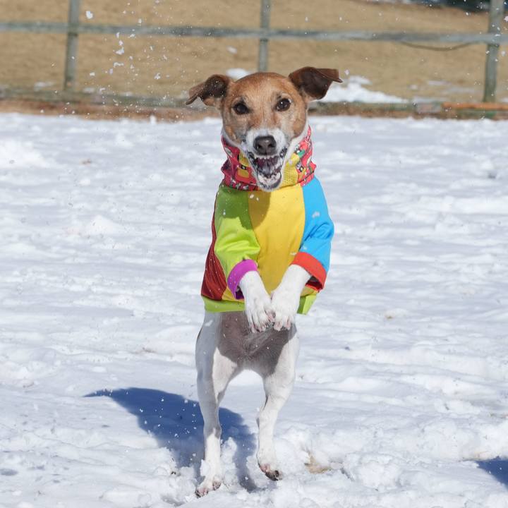 F8837021 54a4 4e3c a578 d4610f57c825 1770638768794