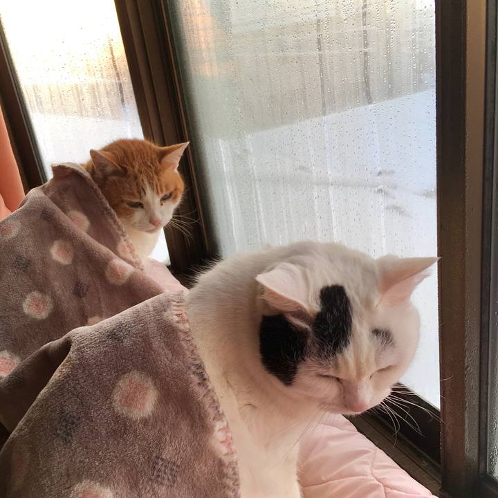 F8838c90 a6a1 43d4 928d 9a6a8ea5dfa7 1613630067695