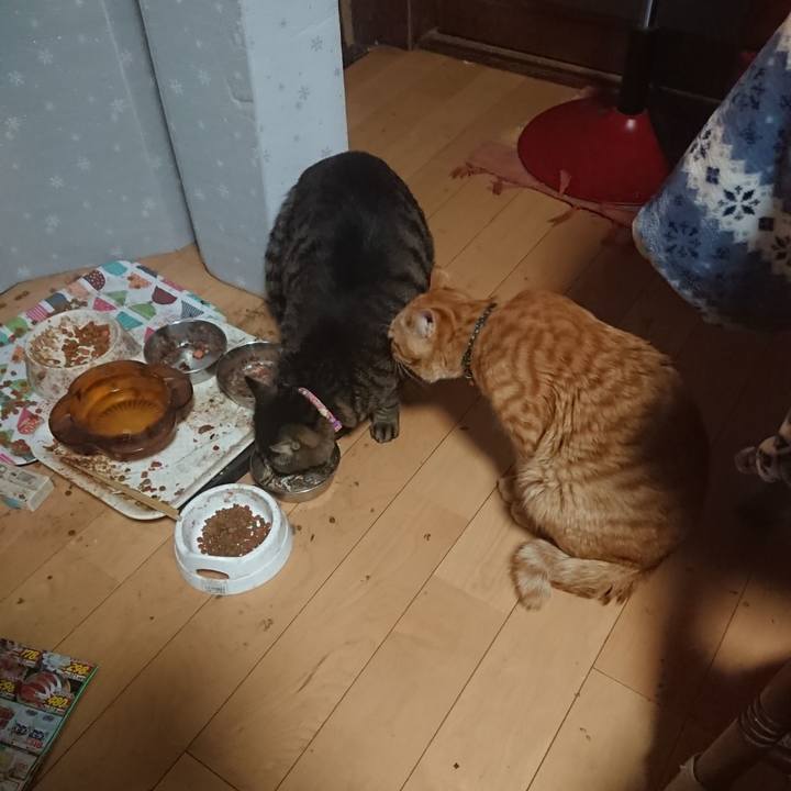 F883995e 1760 4007 8dae 1567de63d172 1649710989783