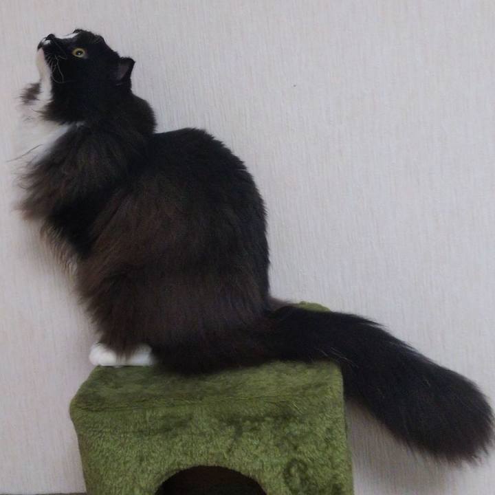 F883be43 95e7 46fb bc67 38d4e773a5b0 1661667250988