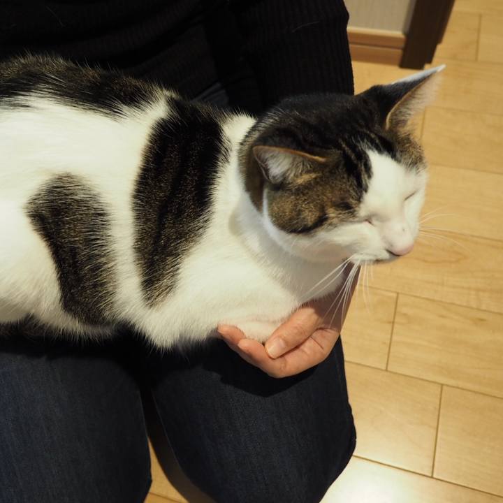 F883c63d 288e 4610 93b1 1aaf757d47e3 1544656292237