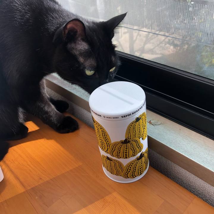 F884020d 6b9b 451b bd6a d8ac4db62e62 1603583110528