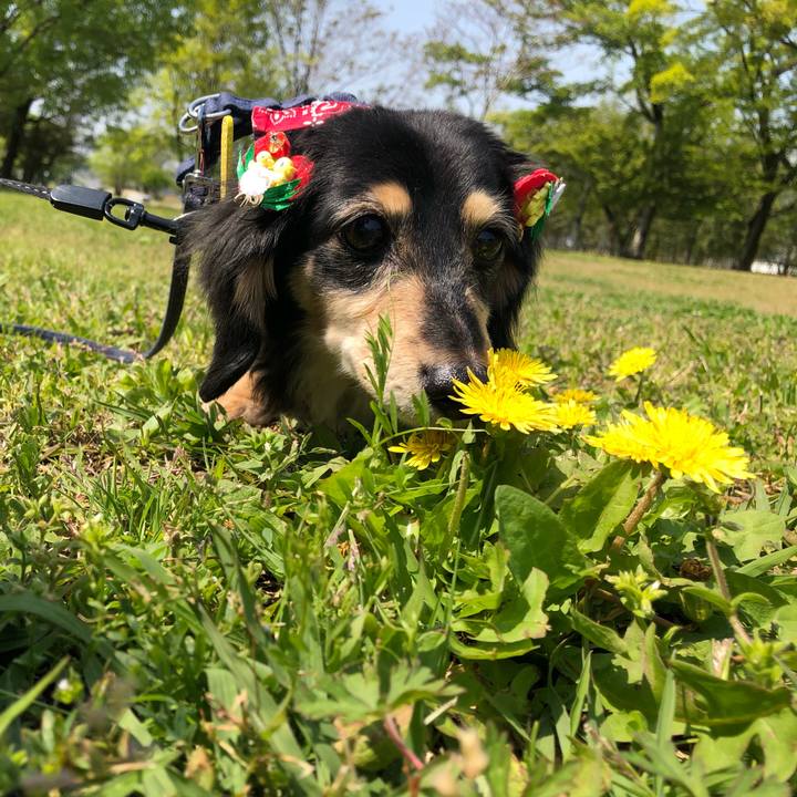 F88414f5 6e26 499d 996b 0e14b1a6fd7d 1618886626710