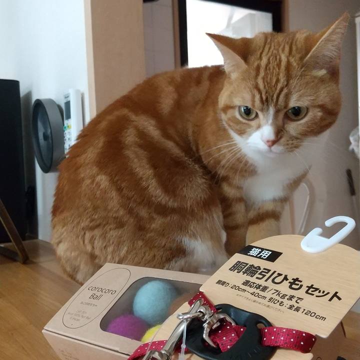 F8843abf 6e7c 46c0 9265 c142064c17e1 1670666908602