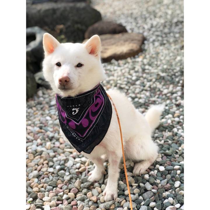 F8844569 d3dd 43fc aefe 6772fcf70940 1549605615877