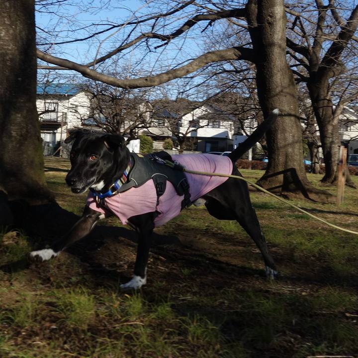 F8845c25 7627 4f8e aa0c 961465cad4e0 1645578050210