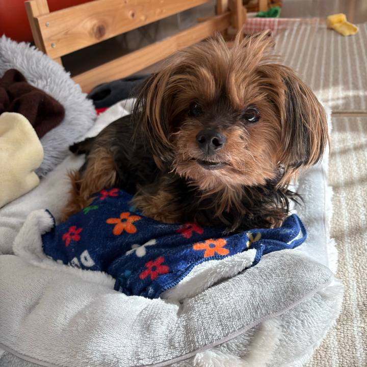 F884604d ca6a 480e 96af 48d7605315d2 1731111168621