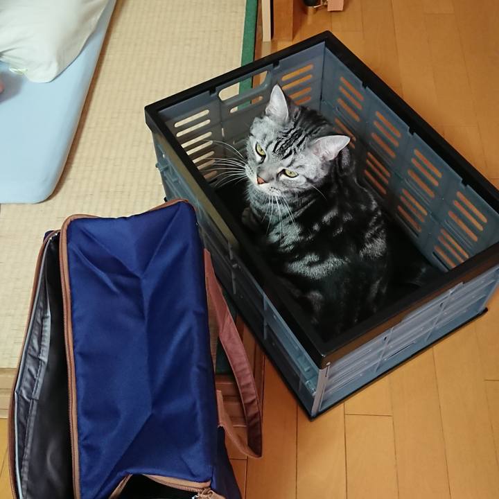 F8846b6c 3ebb 43fa b50d 3bd9b9e14726 1564004431283