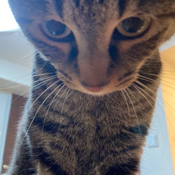 F8847d8a f82a 49ad 8ef1 f18a173c510d 1609296052986