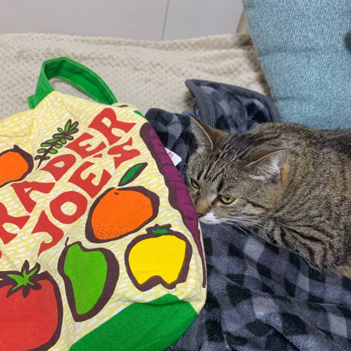 F8848a78 f027 426d 88db 0582ff34deeb 1647869124646