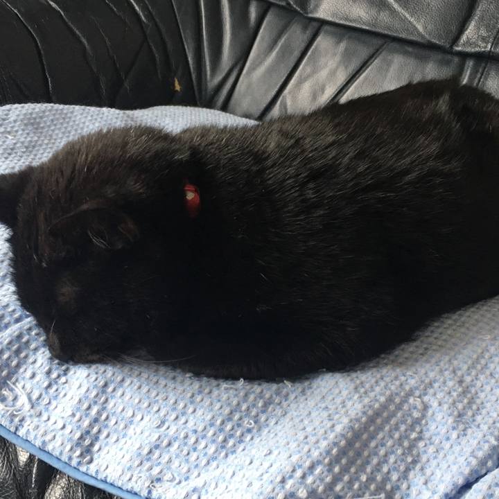 F884c659 53a6 47a3 9c4b e24cb11dfd7c 1534419574524