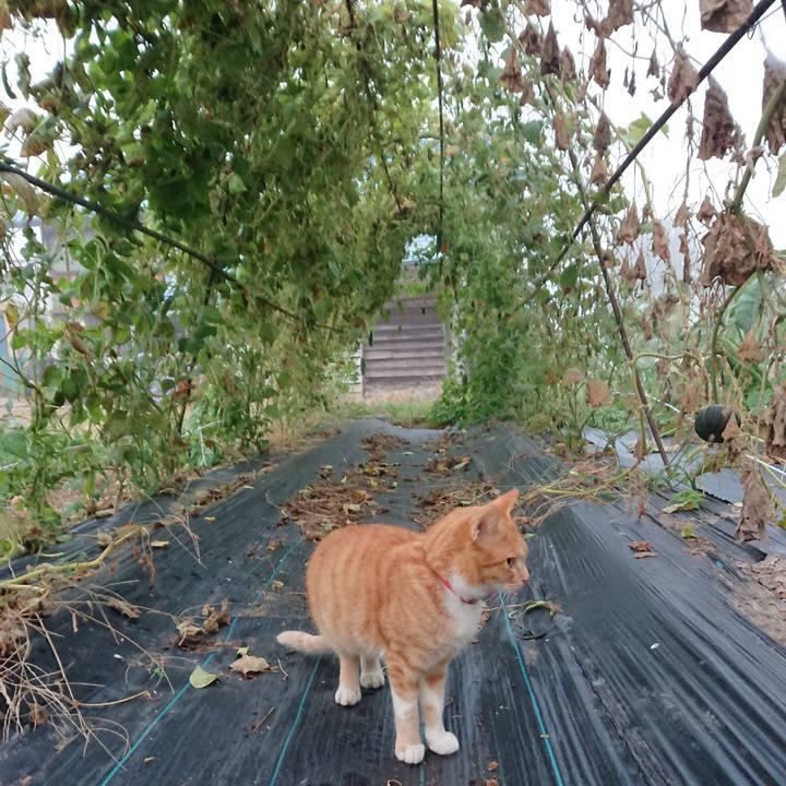 F884ca9a a597 4a3b bd33 9d85ea8eebbe 1569531768922