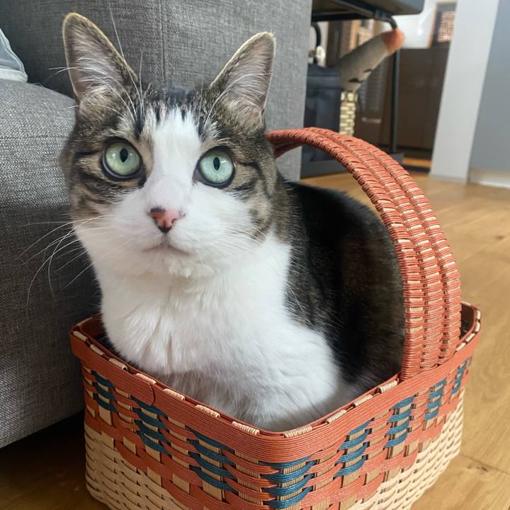 F884d9e0 5412 4869 ace1 10700b11dff5 1744407184713