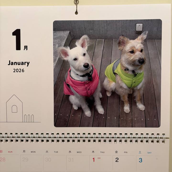 F8853781 63df 4cf5 9c0f 398c97ca969f 1767231523363