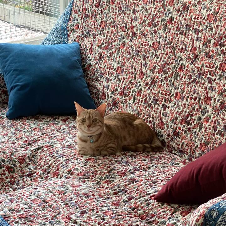 F8853df9 9543 4a13 8494 266f9fcbe5b0 1648255725402