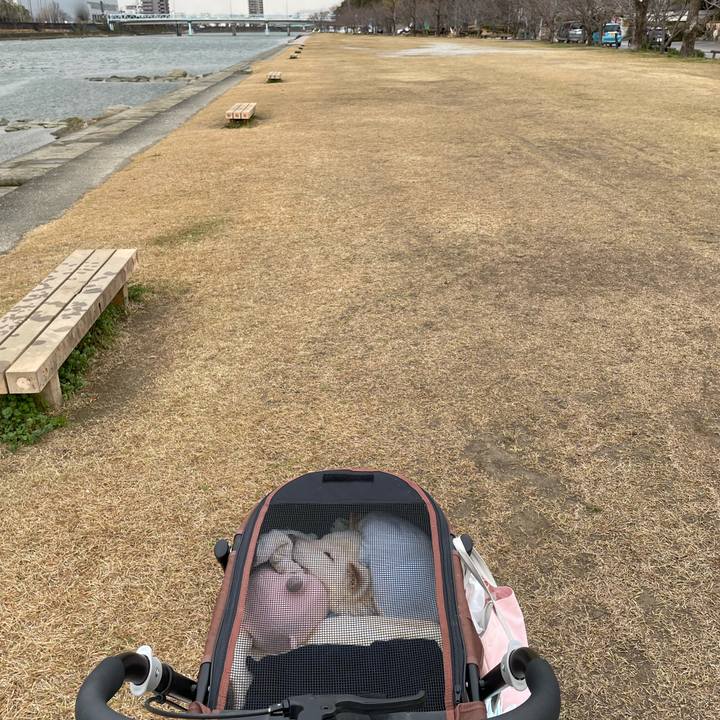 F8855850 df7b 45c4 a87f a283e14e475a 1674549316200