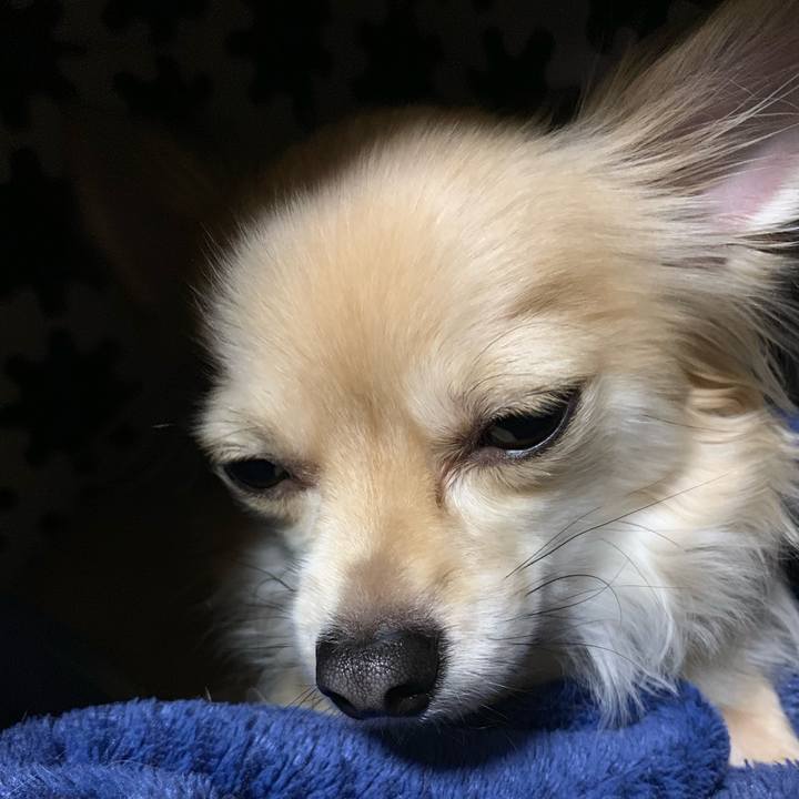 F885701b f172 4316 942c 8ef7935bf65f 1548068157714