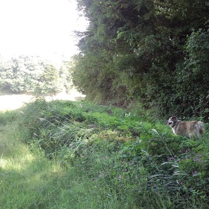 F8857737 2811 4cc5 bda3 99c2de010b70 1633578586629