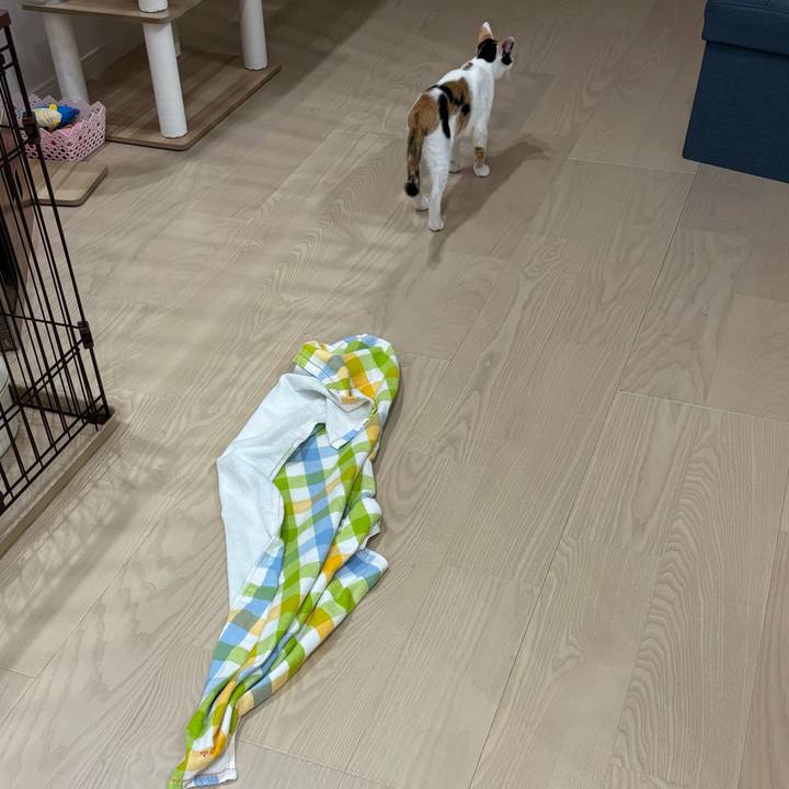 F885a07a a169 4c89 893d 0dd4cd55e08d 1759559160219