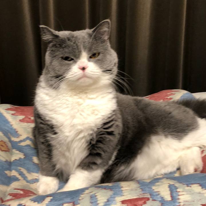 F886546f 9a55 478b 861d f7f247d8a272 1513607098948