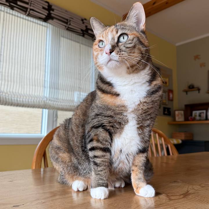 F8865be7 0911 4992 a168 20dc6f93b8e8 1766444404403