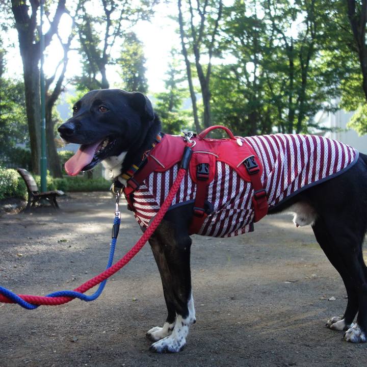 F8868164 6663 48a6 a094 42bf33e37508 1598659249541