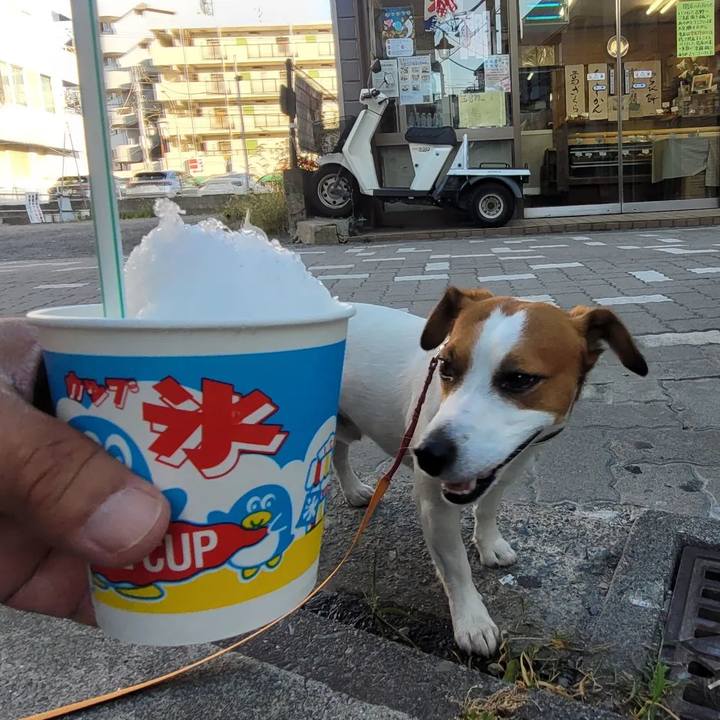 F886c850 ab1e 4965 8f19 50007e7b056a 1690200155442