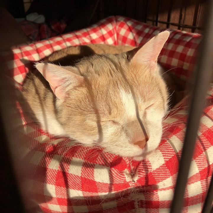 F886d7d6 648c 4f07 a571 70c5784e21f1 1519685795085