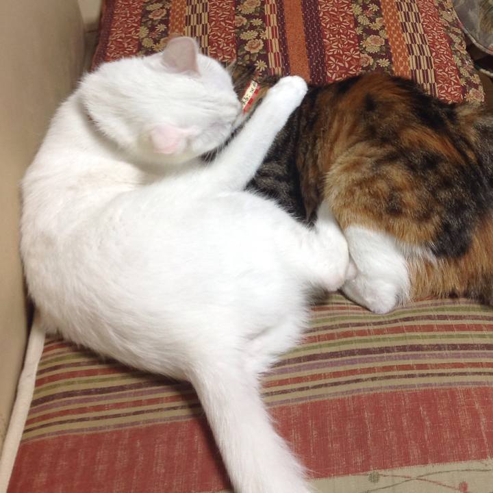 F886e584 4b68 4113 a7c4 0c2e8e6091ff 1633602288446