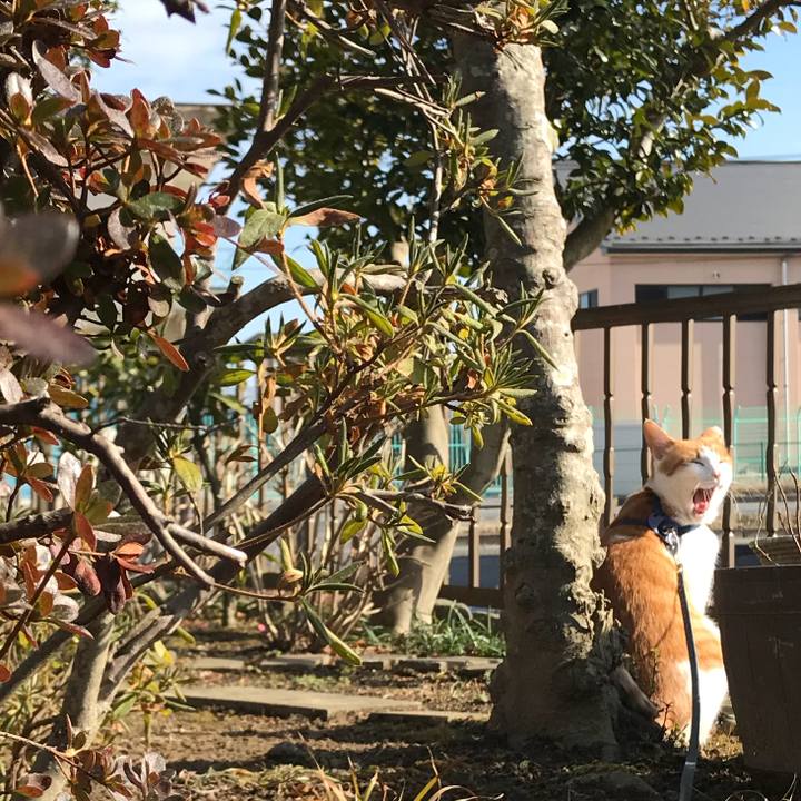 F8875131 564d 428c acda 8046b4f0f7ea 1516419583673