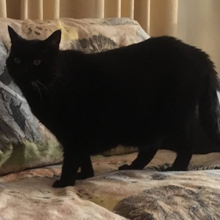 F887f40e aff5 44b6 afda ae95bd688954 1617929441804