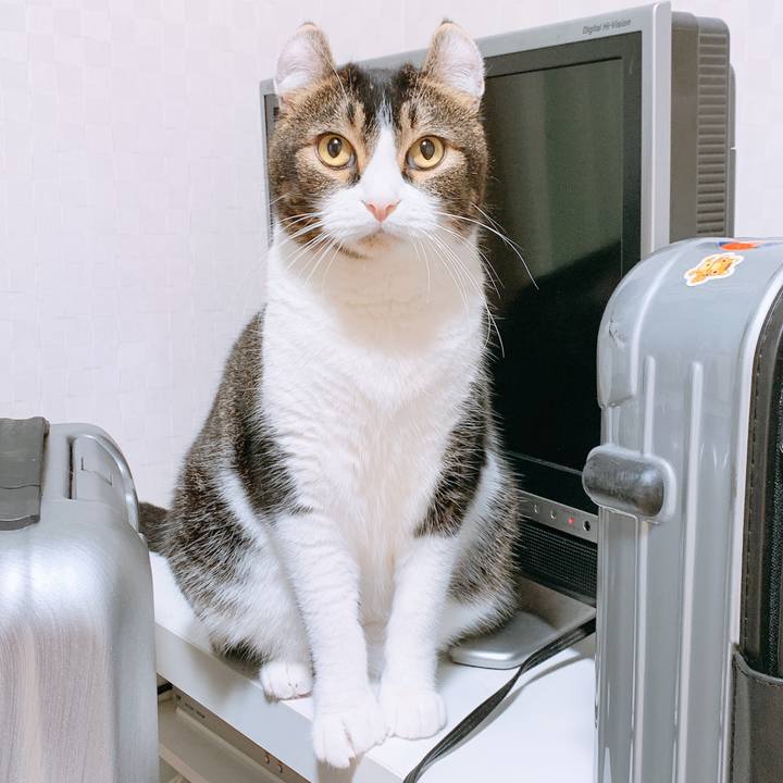 F887fd38 389b 4e44 b66d 51f7c4420898 1600487817467