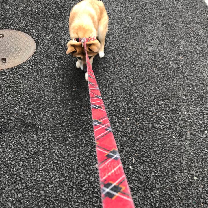 F887feb4 ab67 4af2 ac76 80f7303a70db 1525647840606