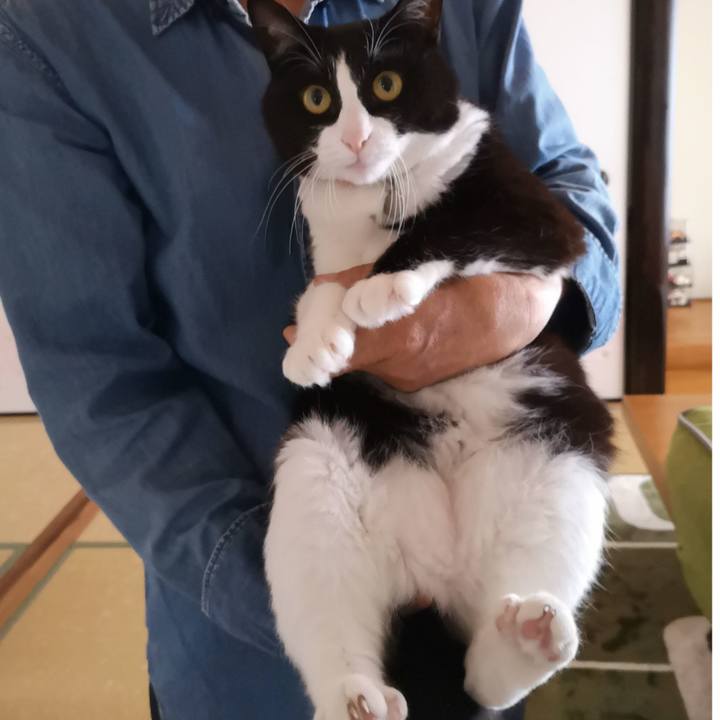 F8880e3f 3200 4cfb a5cb 137fa7b2030b 1590988609615