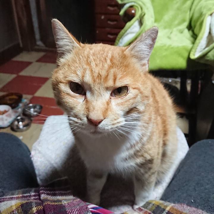 F88821ab 0e56 4a5f b169 291485039ae7 1582573853982