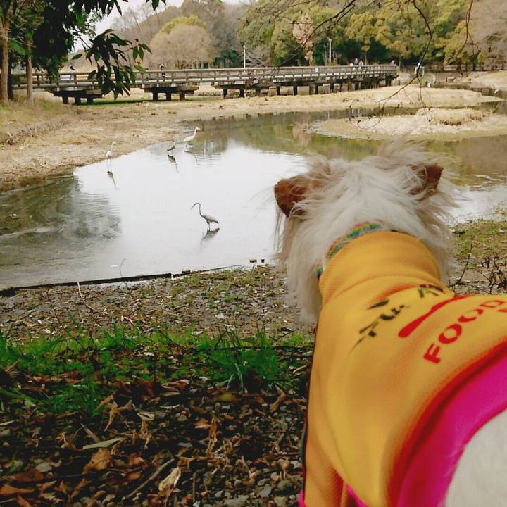 F88844f3 bab3 42f2 8d62 a2a83cdc70f7 1520061458110