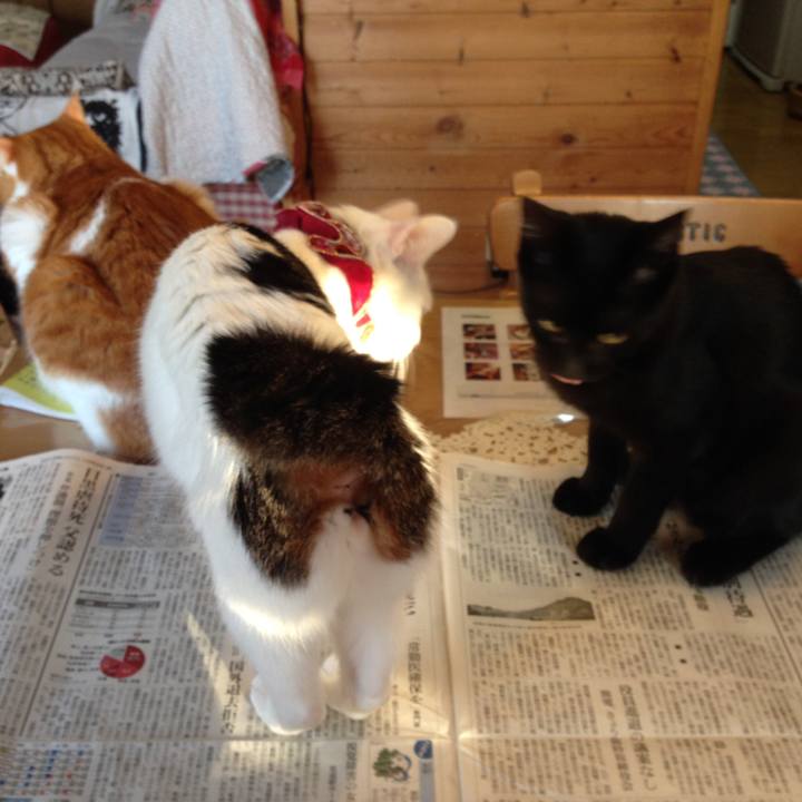 F8886ef8 4231 47a1 8f3b ba6d272a676a 1570052161999