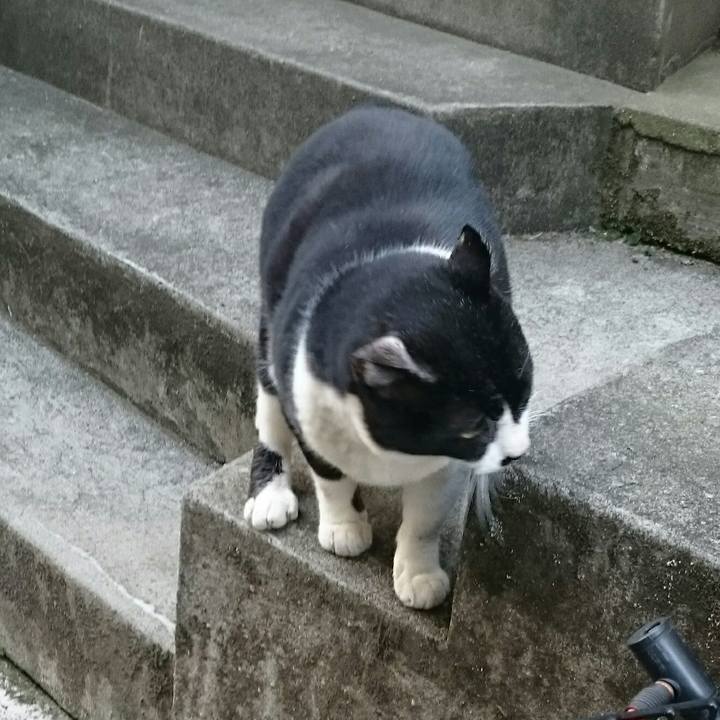 F8888f0f 2e73 4c25 88eb 003e19d00f98 1518666665035