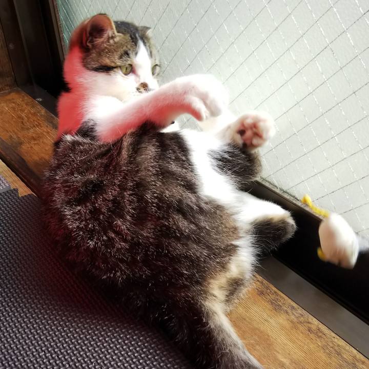 F8890184 fa06 41da b684 b02f1de935a3 1614486658135